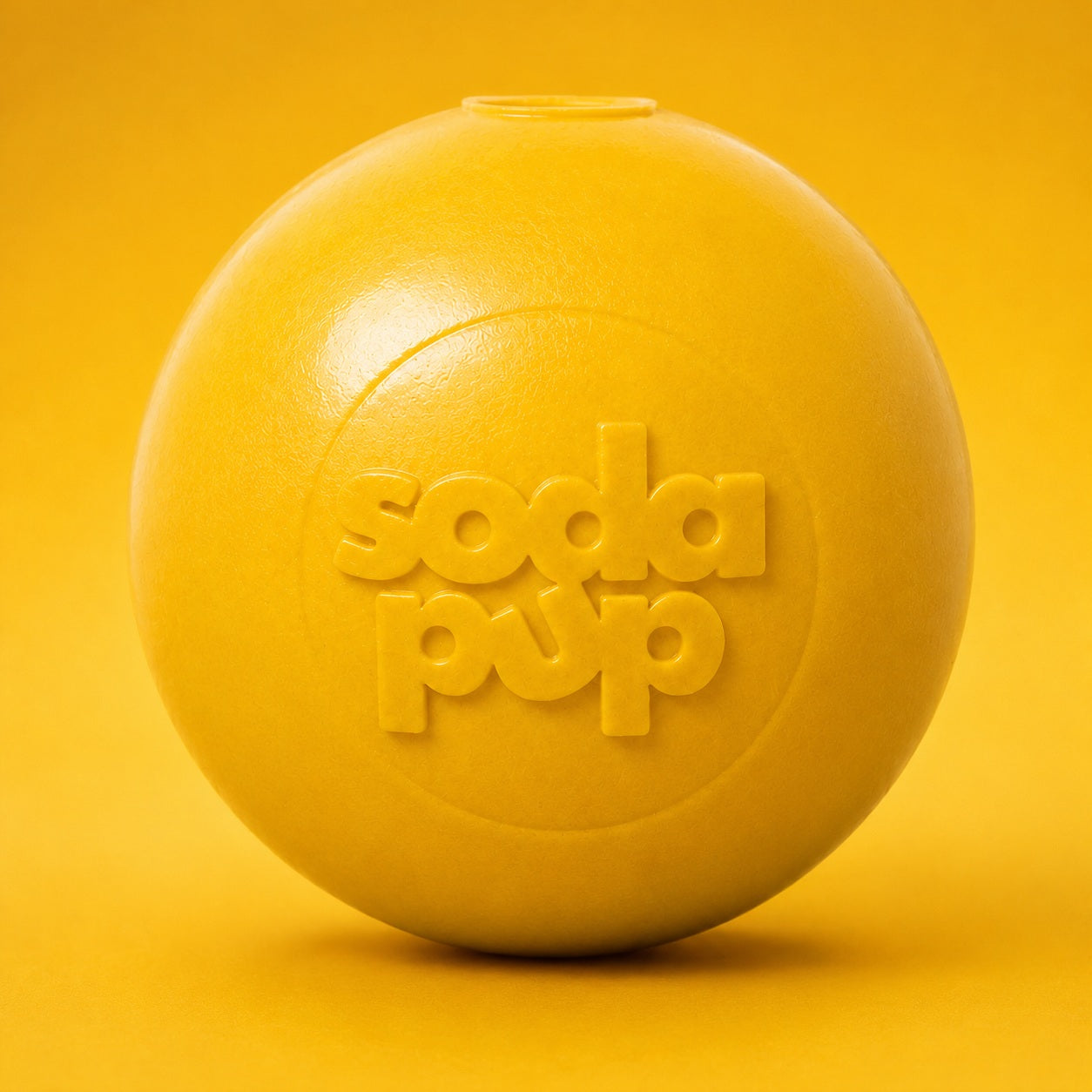 Floating Squeak Ball - Dog Toy