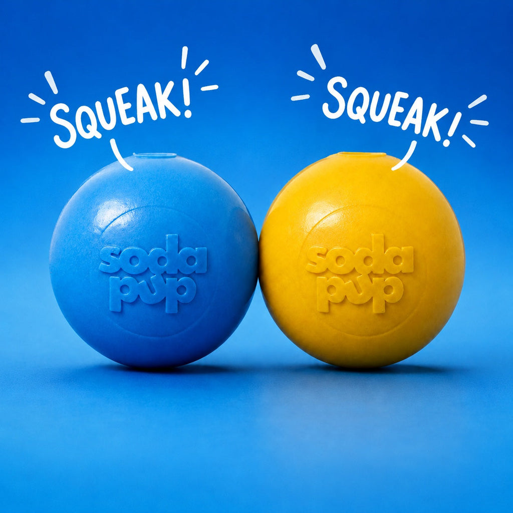 Floating Squeak Ball - Dog Toy