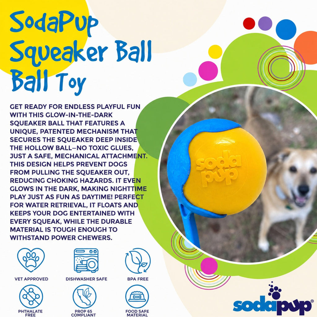 Floating Squeak Ball - Dog Toy