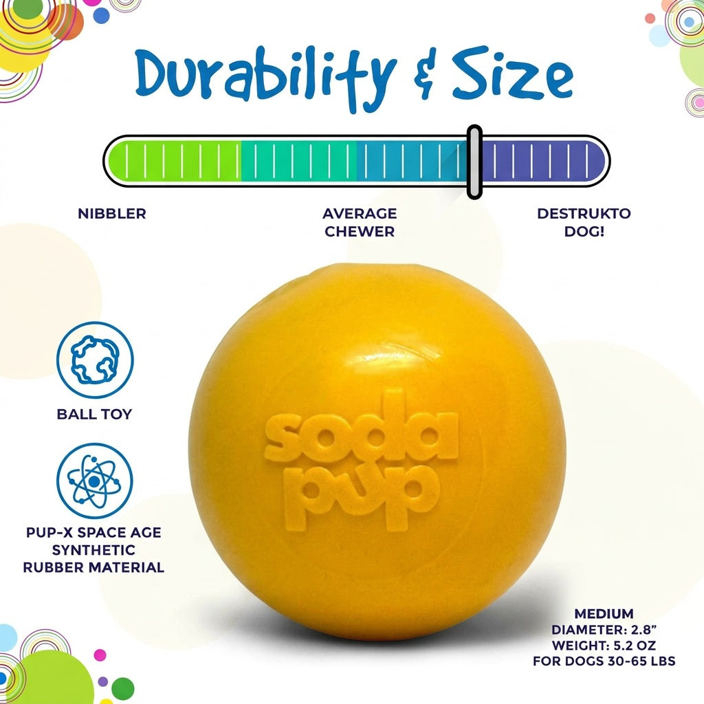 Floating Squeak Ball - Dog Toy
