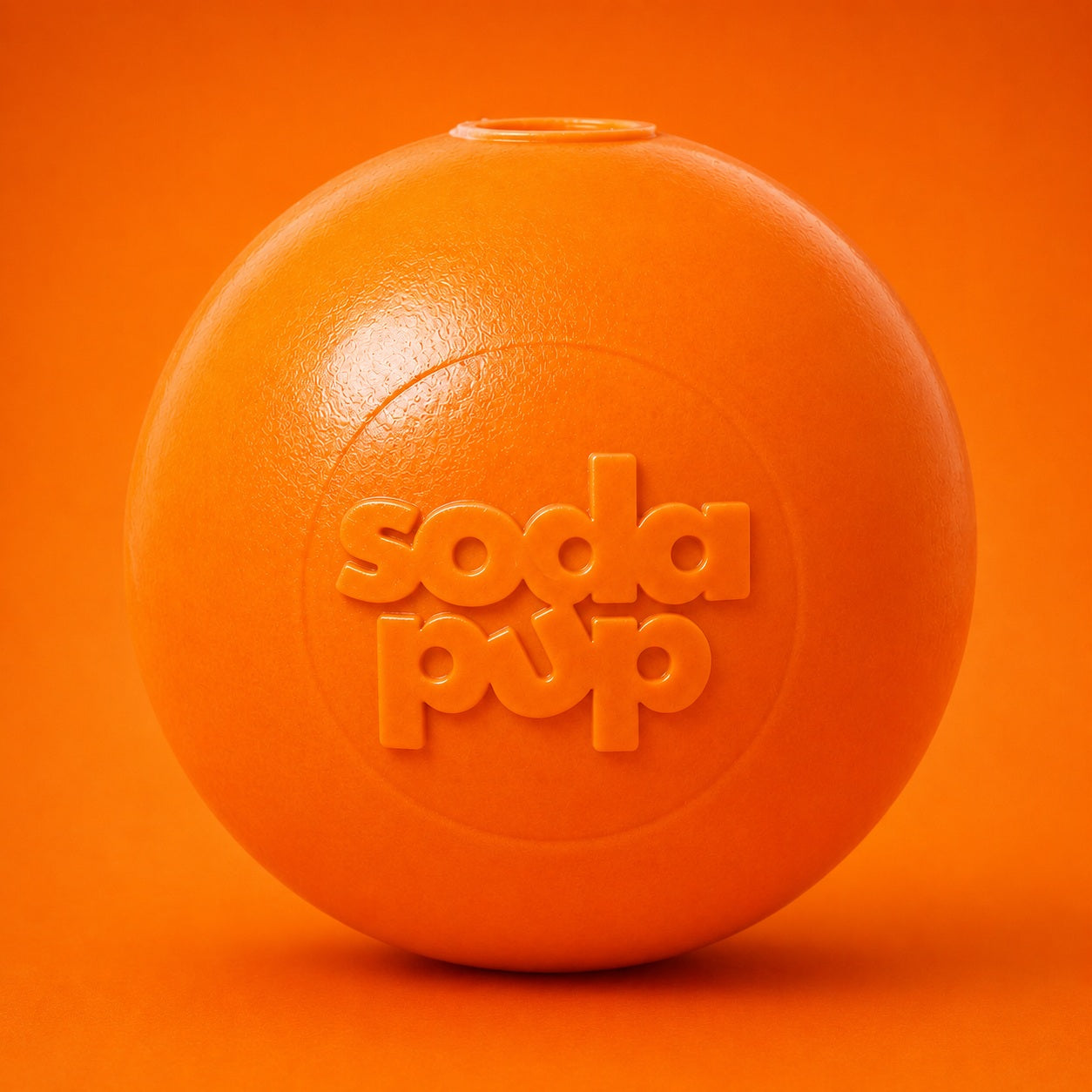 Floating Squeak Ball - Dog Toy