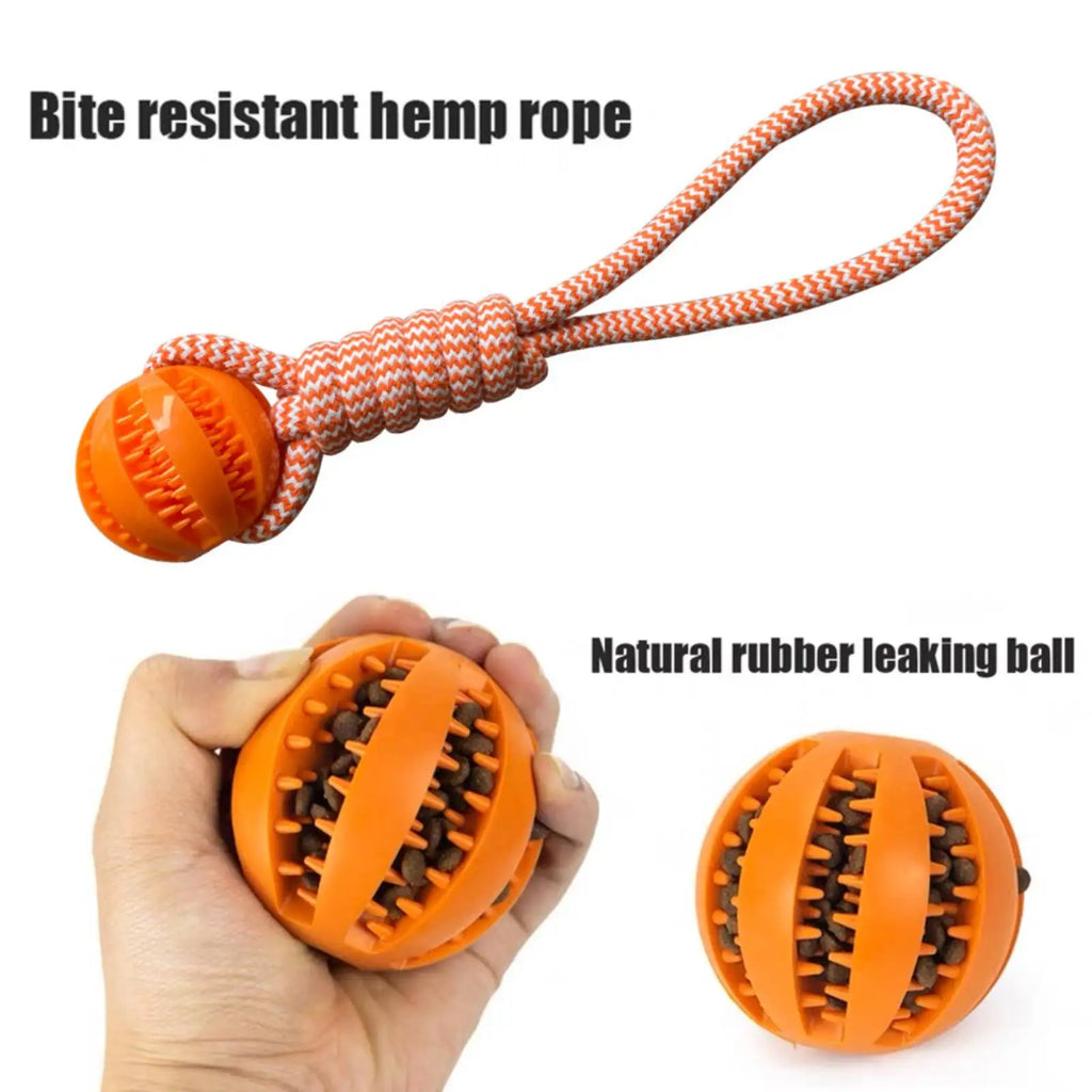 Interactive Dog Toy Balls – Treat Dispensing