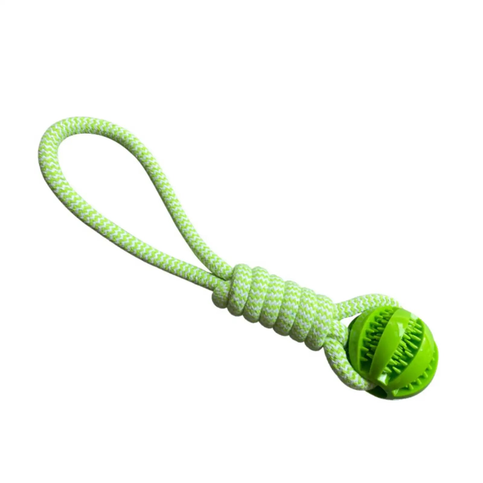 Interactive Dog Toy Balls – Treat Dispensing
