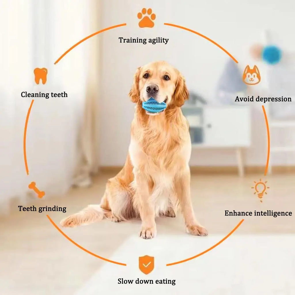 Dog Chew Toys Teeth Cleaning Snack Ball