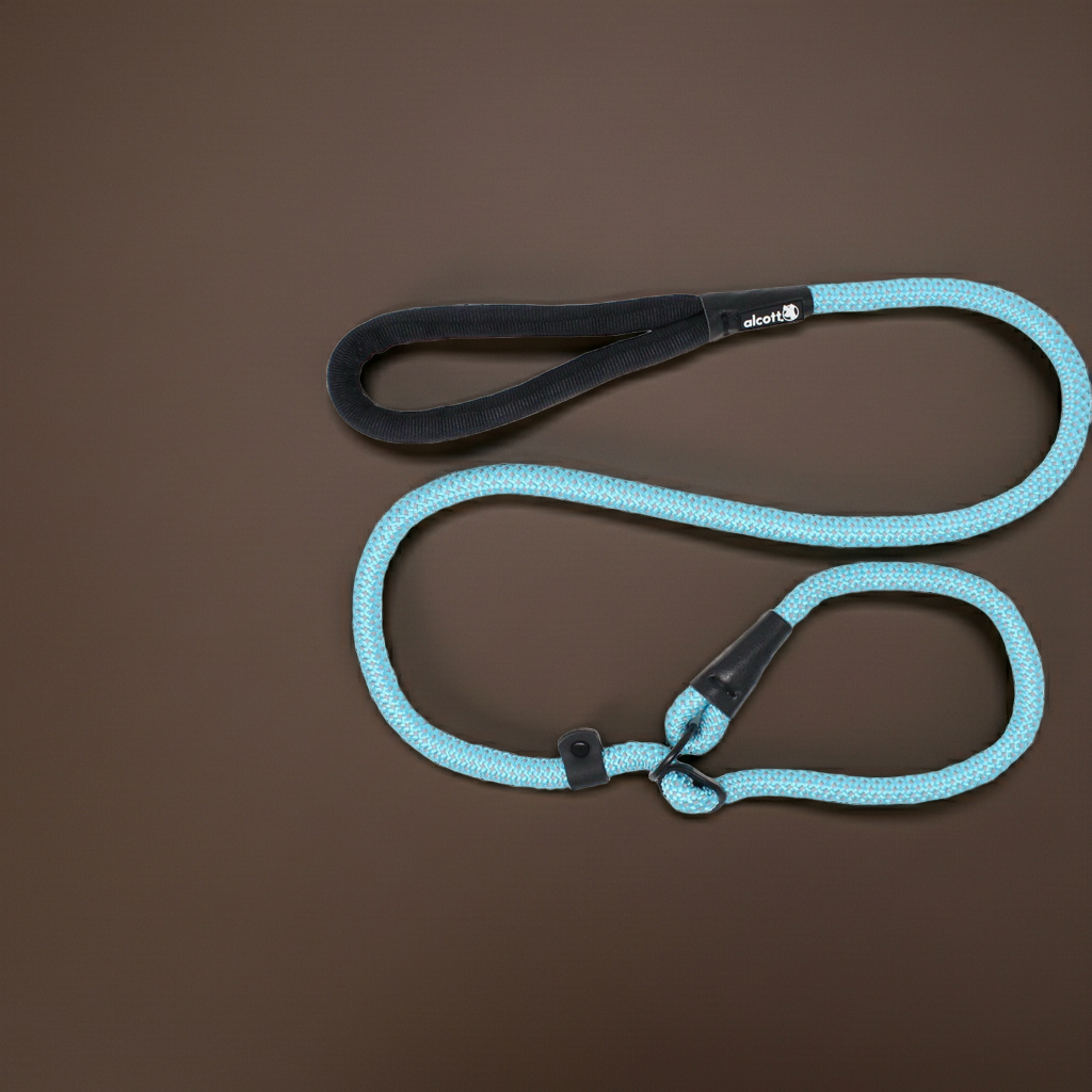 Alcott Slip Rope Leash Blue (5ft x 3/4")