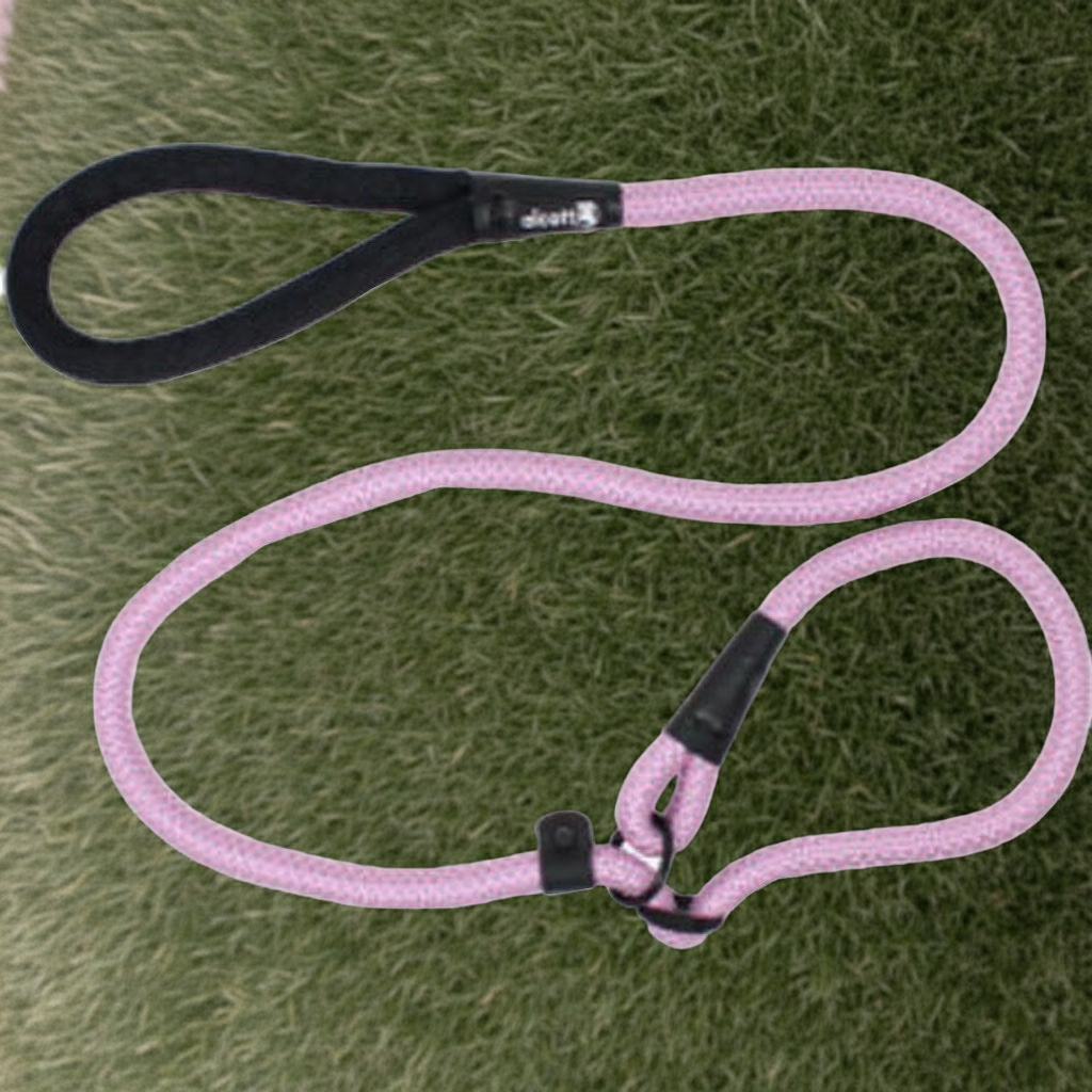 Alcott Slip Rope Leash Pink (5ft x 3/4")