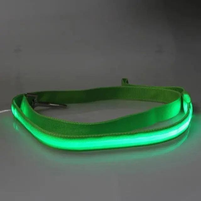 Adjustable Safety Seat Belt