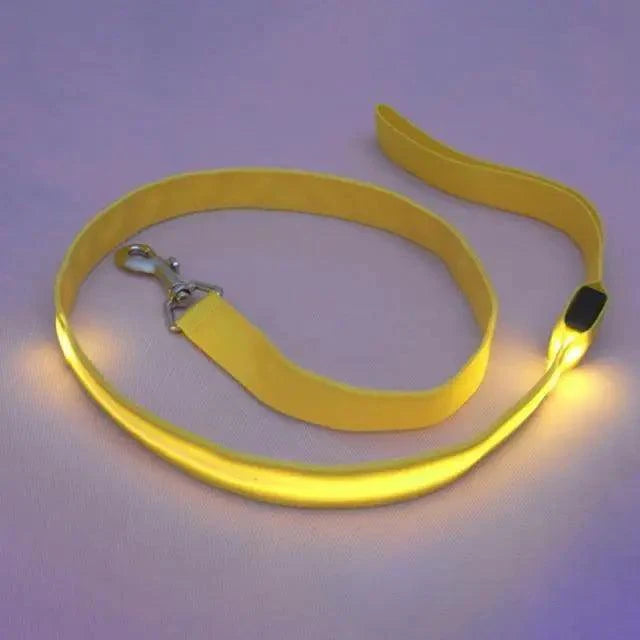 Adjustable Safety Seat Belt