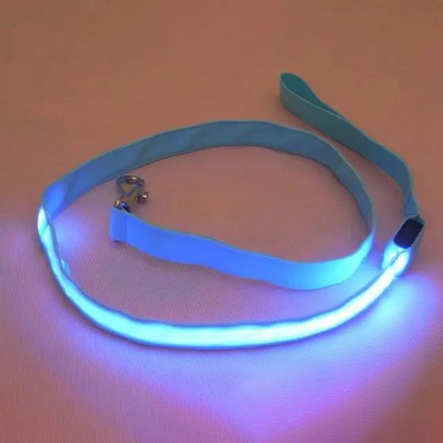 Adjustable Safety Seat Belt