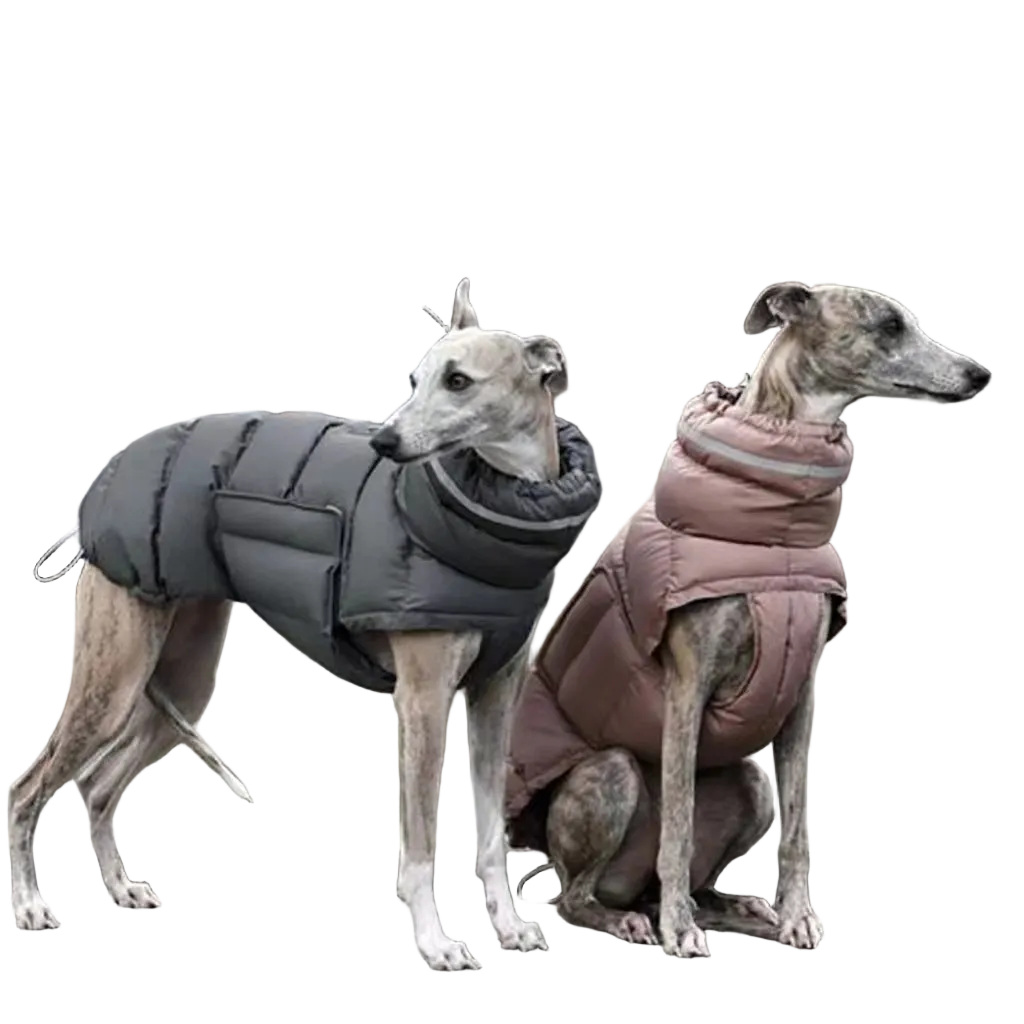 Dog Clothes Thickened Thermal Vest Cotton Coat