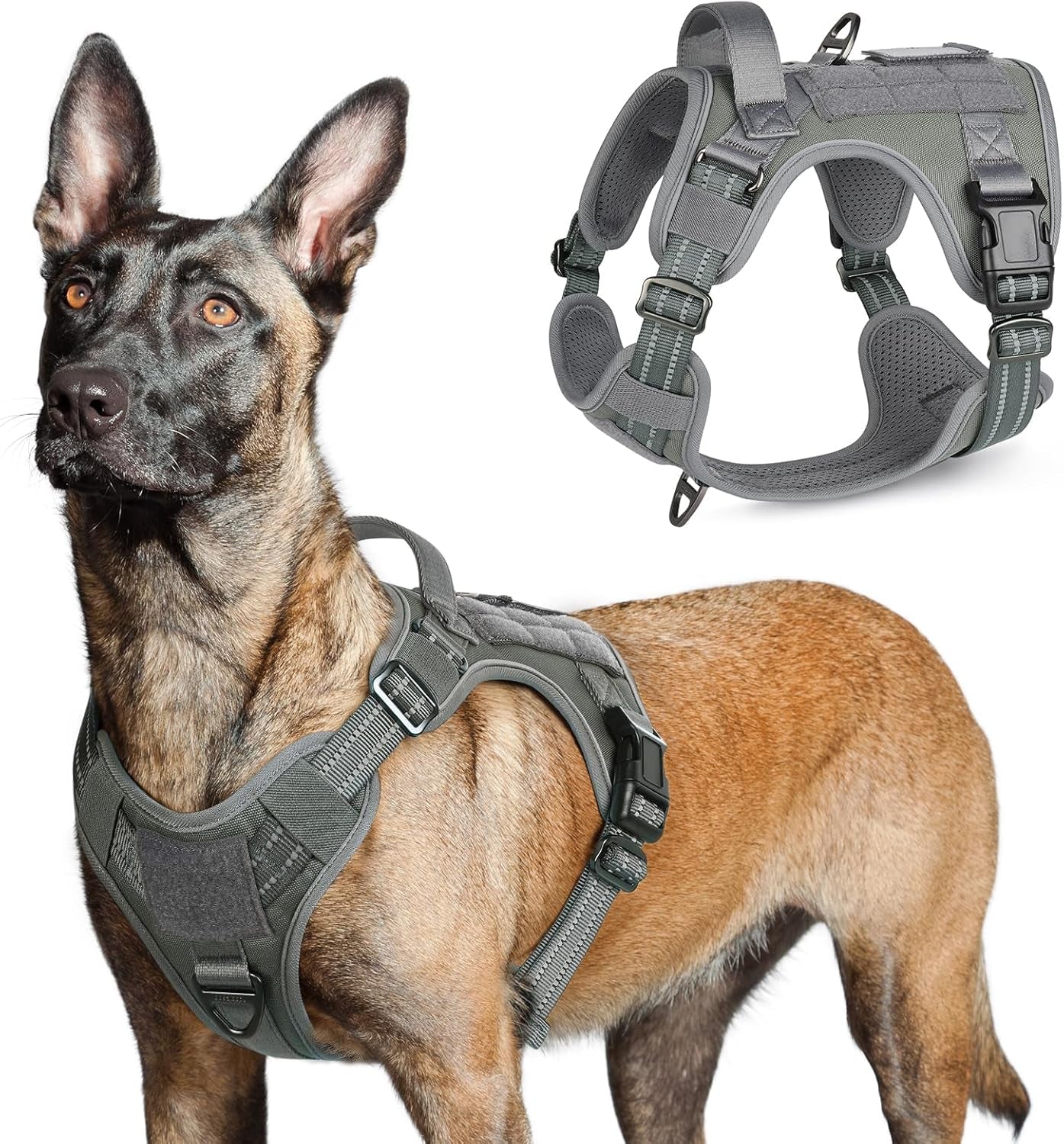No Pull Tactical Dog Harness