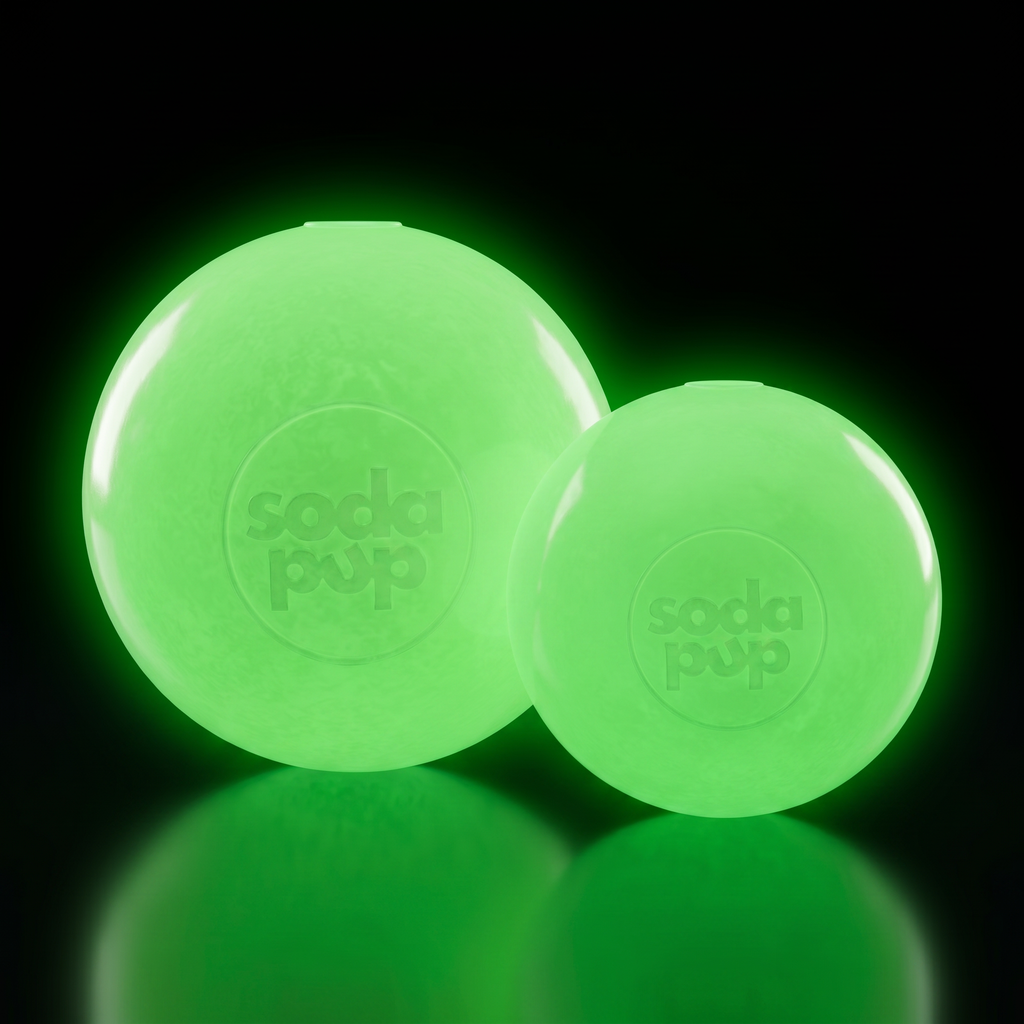 Floating Squeak Ball - Dog Toy