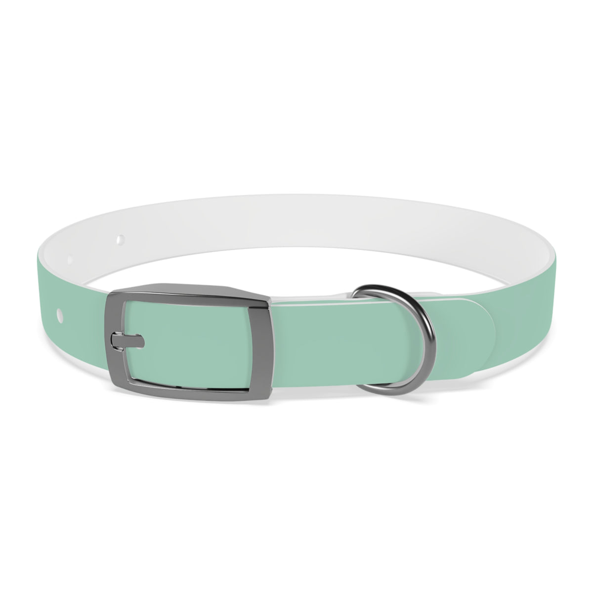 PAC Leash-Collar Bundle | Mint
