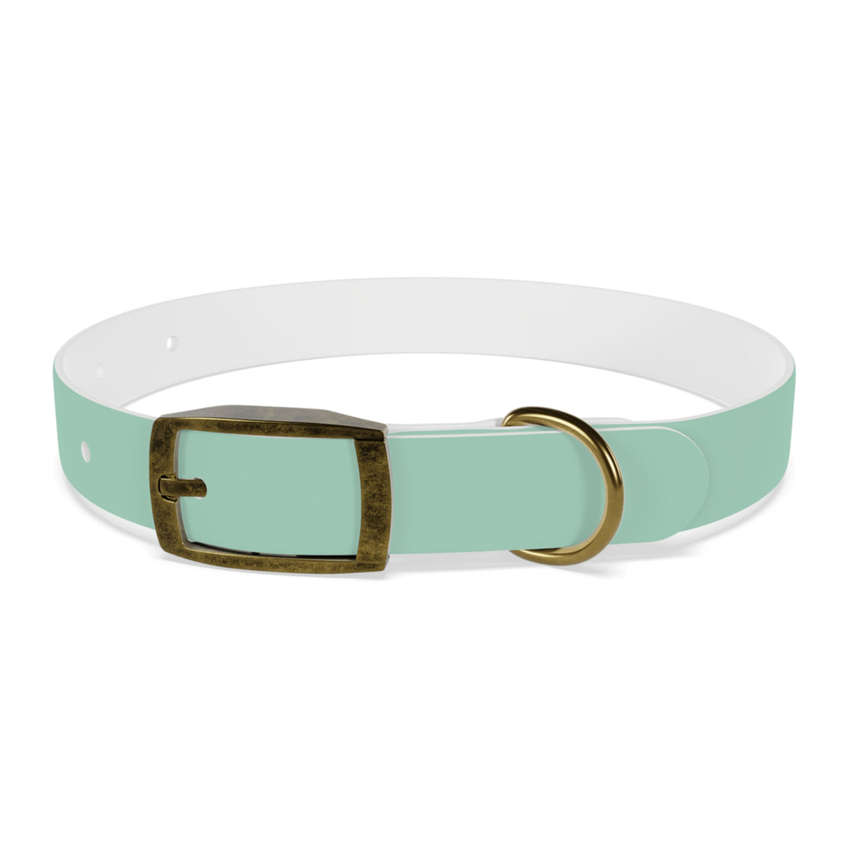 PAC Leash-Collar Bundle | Mint