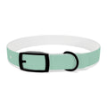 PAC Leash-Collar Bundle | Mint
