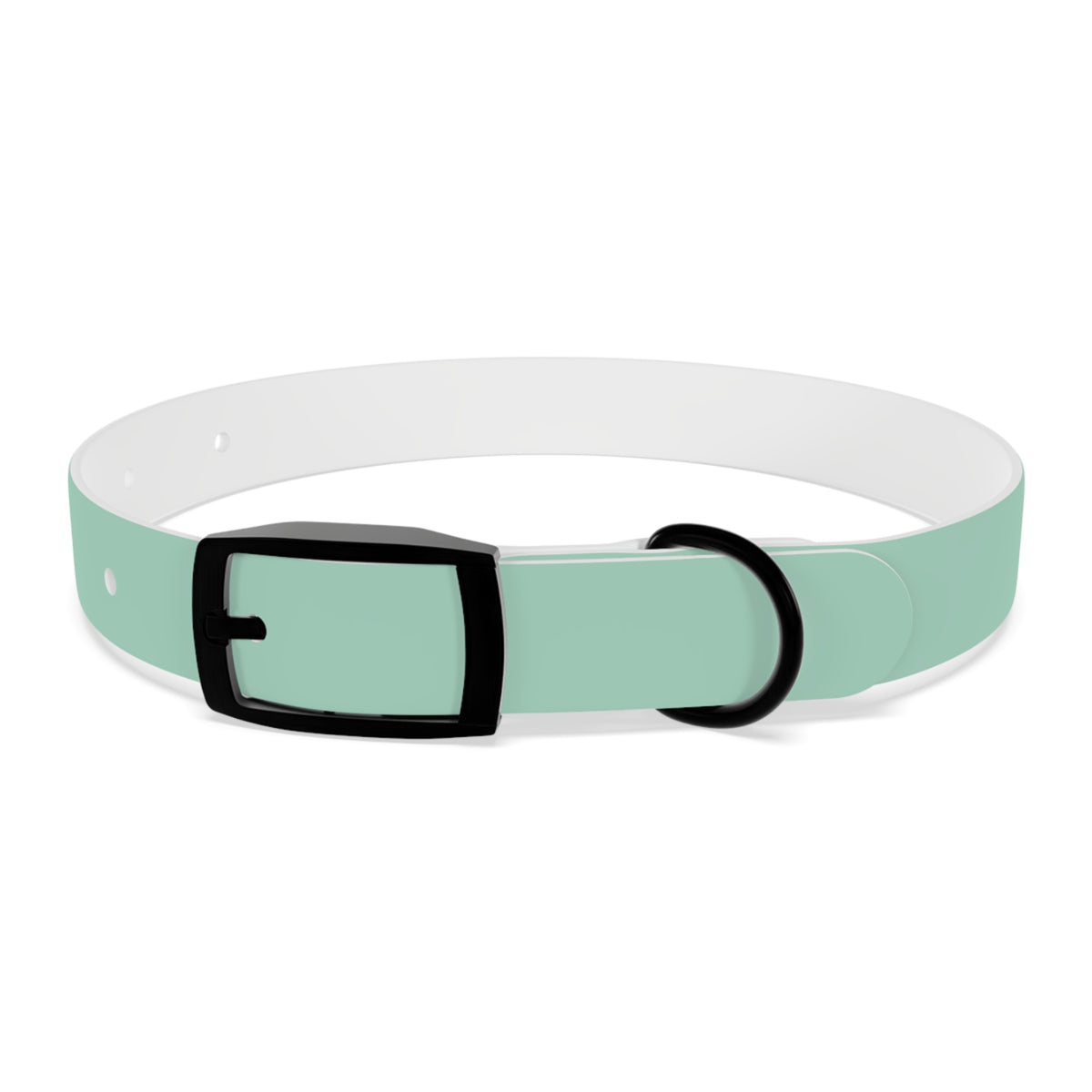 PAC Leash-Collar Bundle | Mint