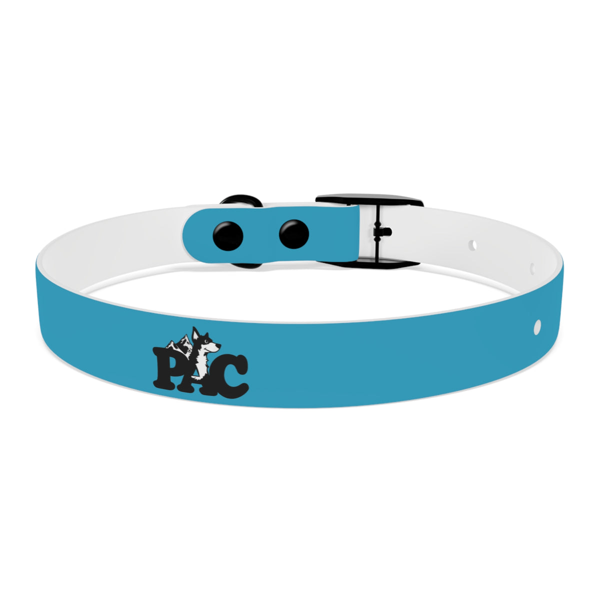 PAC Leash-Collar Bundle | Turquoise